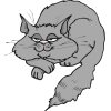 cat2.jpg